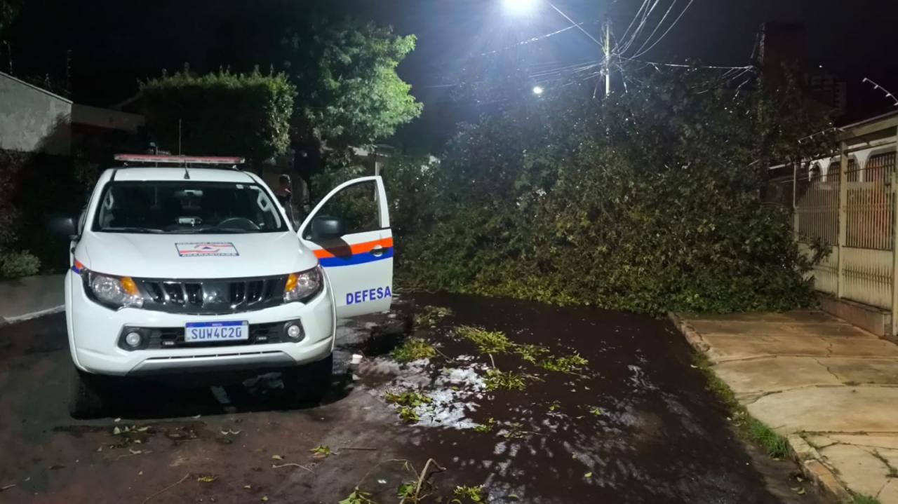 Foto 45 de 67 — TEMPORAL EM FOTOS: veja imagens de destruição em Araraquara